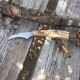 Couteau à champignons Aventure
